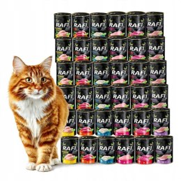 DOLINA NOTECI RAFI CAT 48X400 ZESTAW MOKRA KARMA DLA KOTA DOROSŁEGO