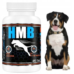 Game Dog HMB 120 tabs - rozbudowa mięśni, regeneracja, wyniki treningowe