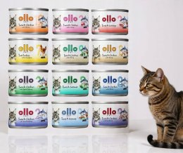 Ollo Cat Zestaw wszystkich smaków 12x70g