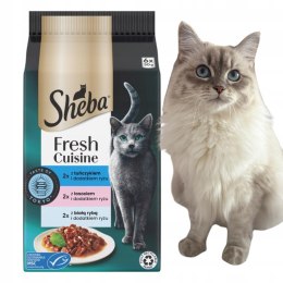 SHEBA MINI FRESH CUSINE ASTE OF TOKYO KOT 6X50G