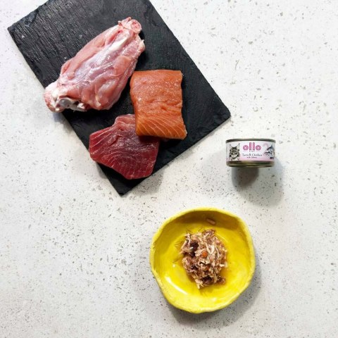 Ollo Cat nr 2 Tuna & Chicken with Salmon in broth