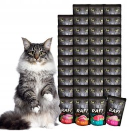 Rafi Dolina Noteci 40x100 Saszetki mokra karma dla kota NAJLEPSZE SMAKI