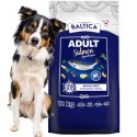 BALTICA ADULT SALMON MEDIUM 12KG DLA RAS ŚREDNICH Karma hypoalergiczna