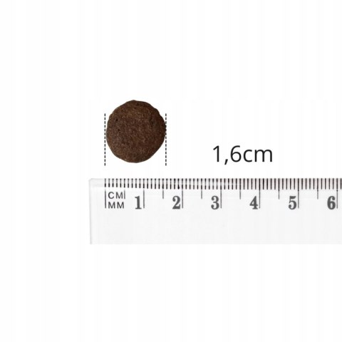 BALTICA ADULT SALMON MEDIUM 12KG DLA RAS ŚREDNICH Karma hypoalergiczna