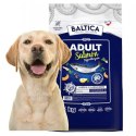 Baltica Adult Salmon 12kg Karma hypoalergiczna łososiem dla dużych ras