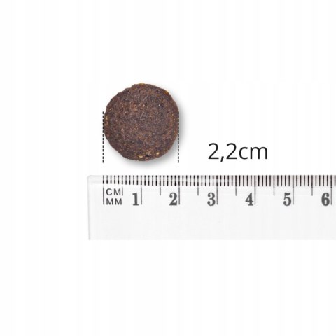 Baltica Smaki Regionów Cielęcina z jagnięciną dużych ras 12 kg ADULT DLA PSÓW DOROSŁYCH