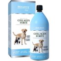 Holista Collagen Forte 1000ml