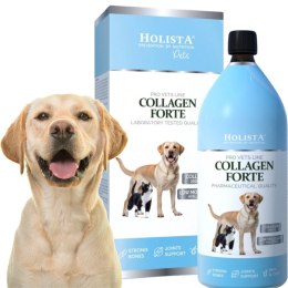 Holista Collagen Forte 500ml