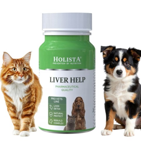 Holista LIVER HELP 90 tabletek wsparcie wątroby