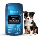 Holista Salt for BARF 400g sól niejodowana