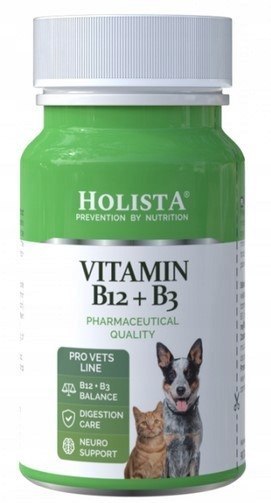Holista Vitamin B12+B3 90 szt tabletek