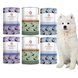 PERRO JUNIOR 6X400 KRÓLIK JAGNIĘCINA JELEŃ