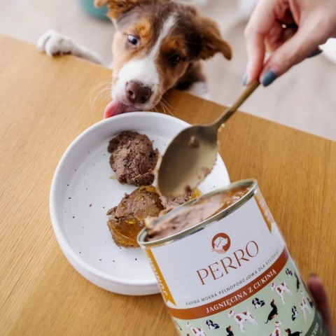 PERRO JUNIOR 6X400 KRÓLIK JAGNIĘCINA JELEŃ