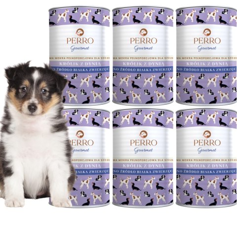 PERRO JUNIOR Gourmet Królik z dynią 6x400g