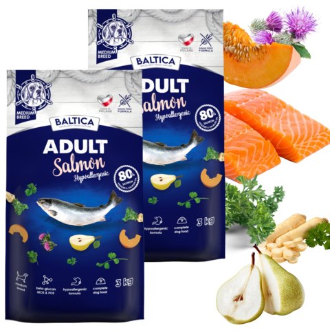 ZESTAW Baltica Salmon Hypoallergenic 2X3 kg karma hipoalergiczna dla psa