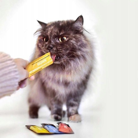 Moonlight Dinner Creme Łosoś 4x15 g - kremowy przysmak dla kota, polewa i sos