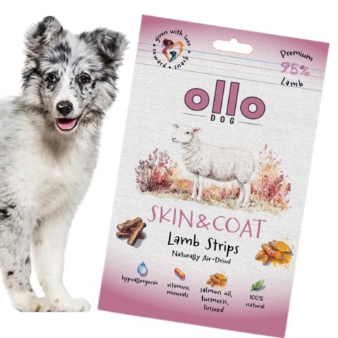 OLLO Air Dried Skin & Coat Lamb Strips 80g - przysmaki z jagnięciny