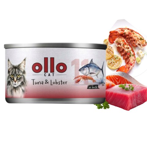 Ollo Cat nr 11 Tuna & Lobster in broth 70G