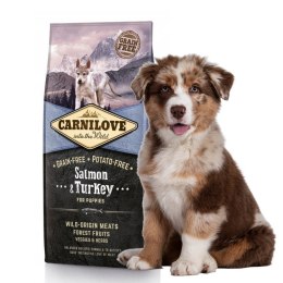 CARNILOVE PUPPY SALMON & TURKEY 4KG karma dla szczeniąt premium