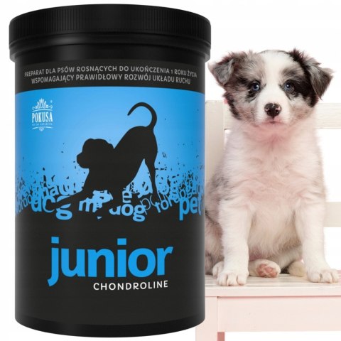 POKUSA Chondroline Junior STAWY PSY ROSNĄCE 350g szczeniak ARTHRO