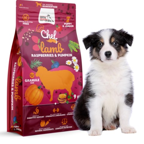 SYTA MICHA CHEF LAMB RASPBERRIES PUMPKIN puppy JUNIOR 9KG SZCZENIAK