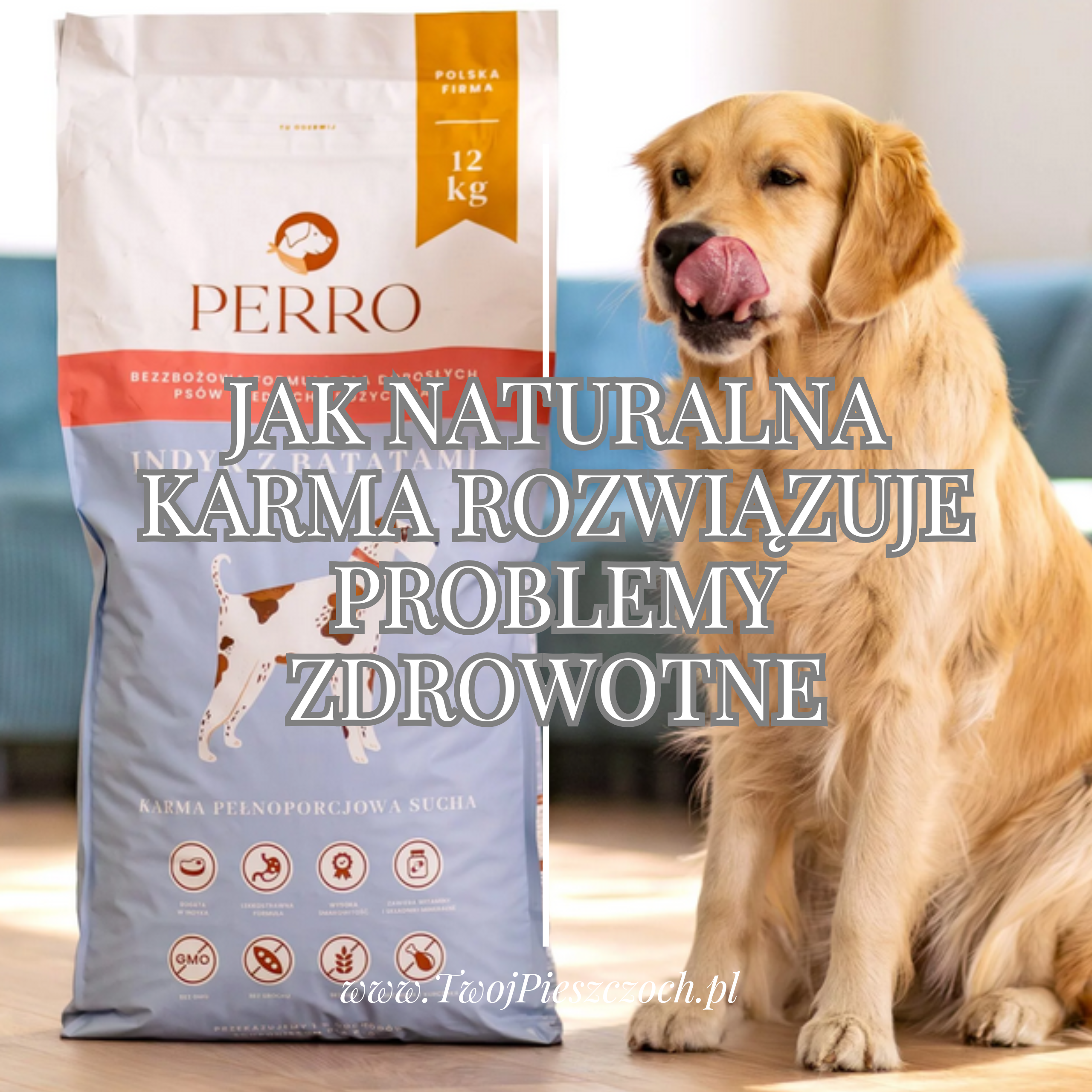 PERRO - JAK NATURALNA KARMA ROZWIĄZUJE PROBLEMY ZDROWOTNE