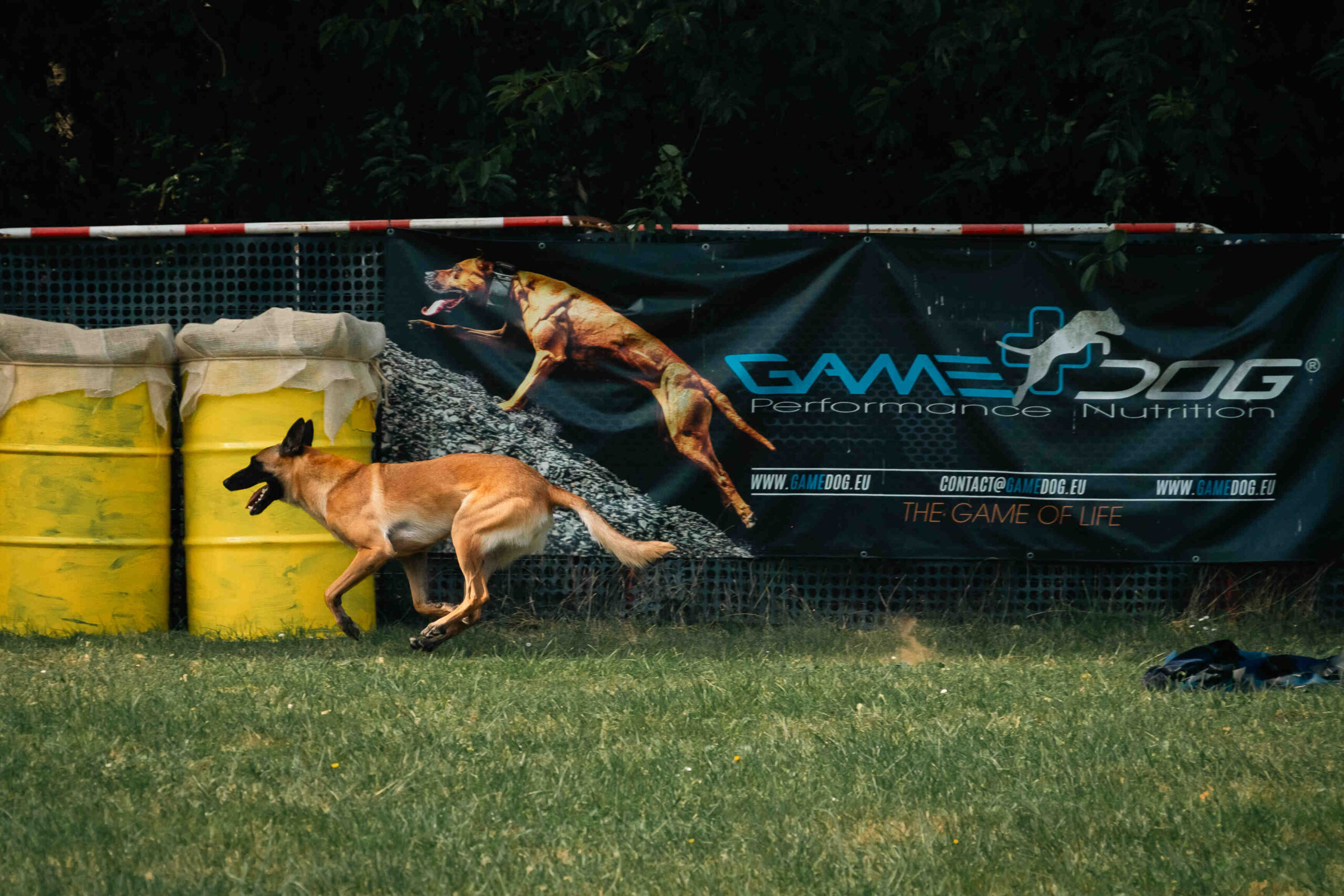 Suplementy GameDog – Sekret zdrowia i witalności Twojego psa